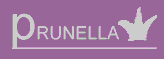 Prunella logo